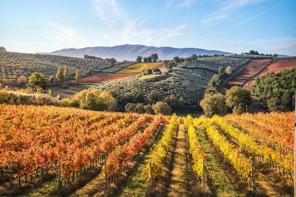 Umbria in autunno © Stefano Termanini / Shutterstock